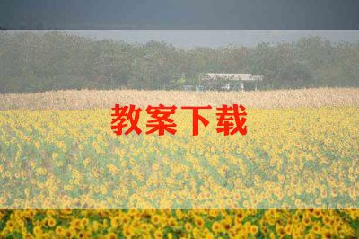 高二政治组教学计划6篇