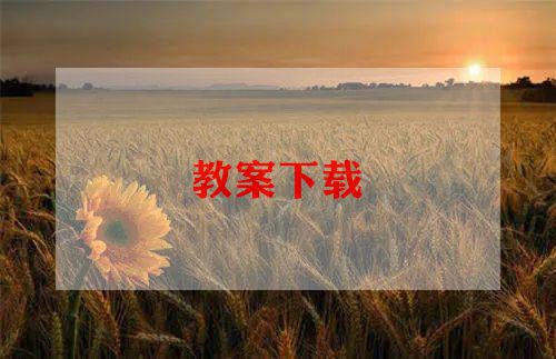 小学教学计划的模板6篇