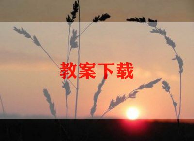 语文全学期教学计划8篇