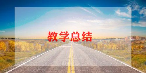 小学校本课程教学总结7篇