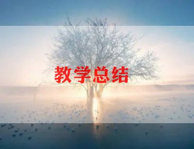 2024年语文期末教学工作总结7篇