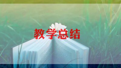 检查工作总结7篇