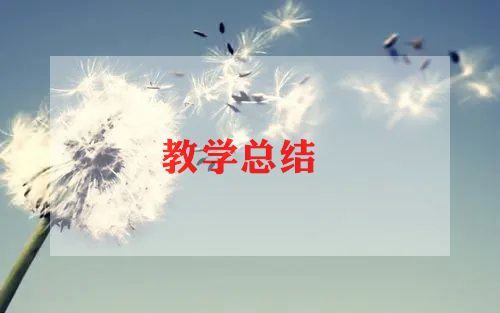 地理教学反思模板5篇