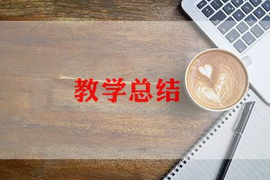 美术课教学总结参考8篇