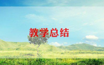 2023届教学工作报告最新6篇