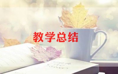 初三化学下册教学计划6篇