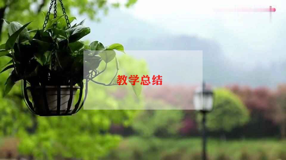 教师教学年度述职报告模板7篇
