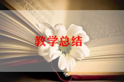 新学期个人教学工作计划7篇