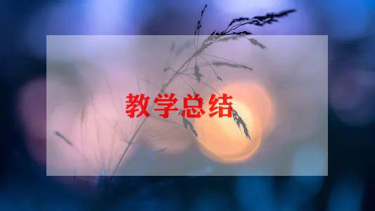高三体育教学工作计划6篇
