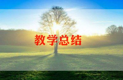 人工客服工作总结5篇