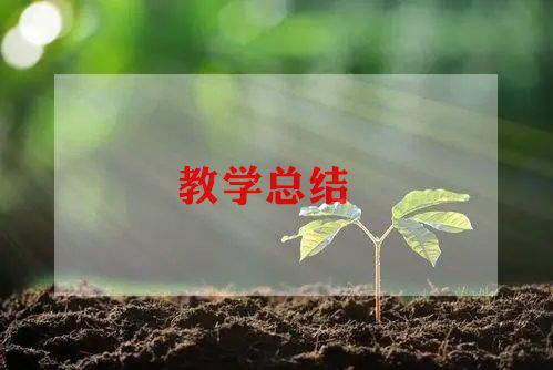 九年级数学册教学计划8篇