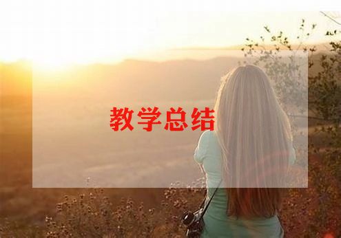 2022年九年级化学工作总结8篇