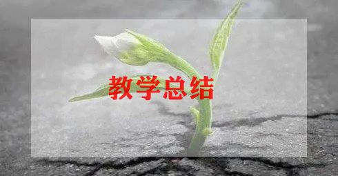 高三生物教师教学工作总结5篇