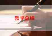 对印的乐趣教学反思5篇