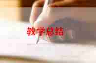 2024年小学英语组教学计划最新5篇
