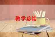 第二学期期末教学工作总结6篇
