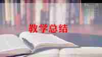 2024幼儿园中班教学总结推荐5篇