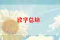 2024年小学英语教学总结6篇