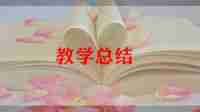 10以内教学反思5篇
