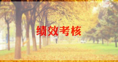 体育教师年度考核个人工作总结7篇