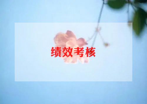 考核工作总结总结精选7篇