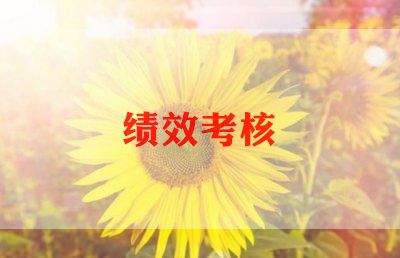年度医生考核工作总结6篇