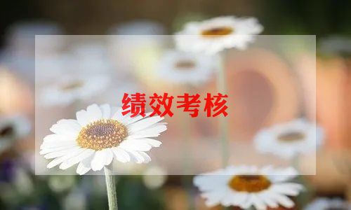 2023年度考核个人述职报告7篇