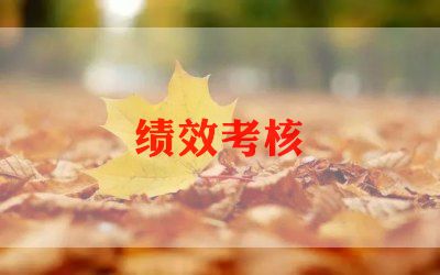 老师年度考核表的个人总结6篇