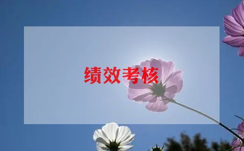 履职考核年度工作总结5篇