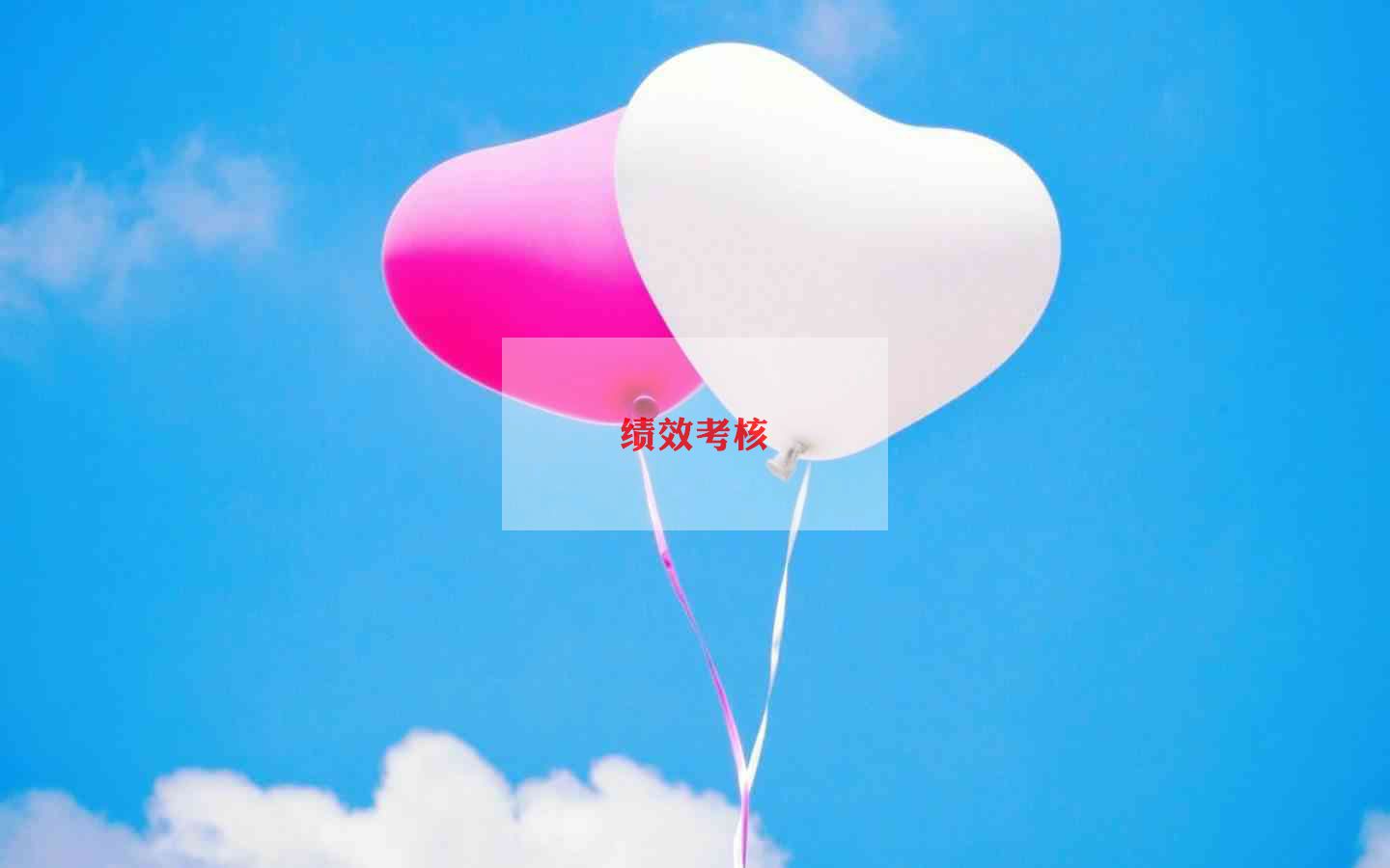考核表的个人总结优秀5篇