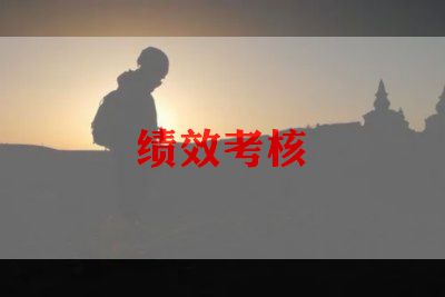 202年年度考核工作总结最新8篇