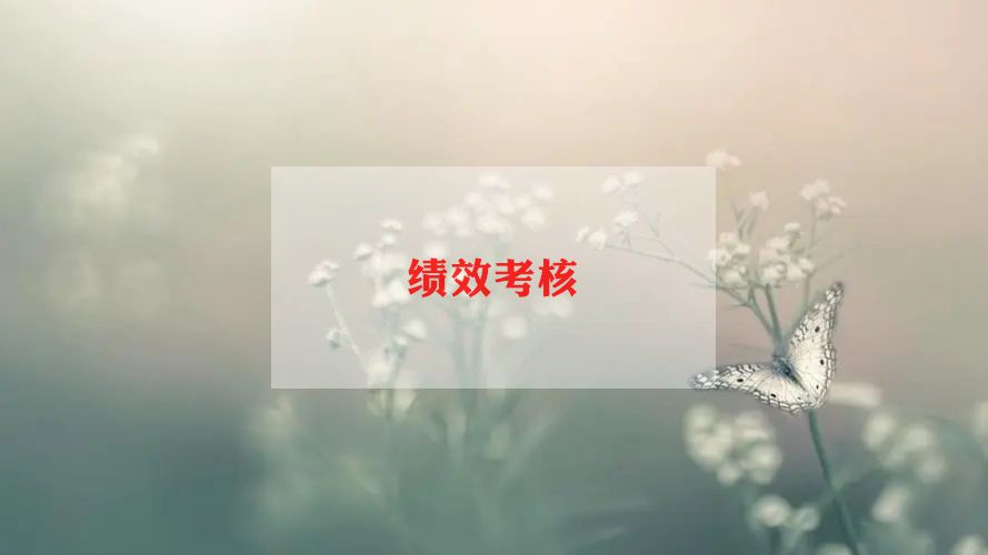 幼儿个人年度考核个人总结优质5篇