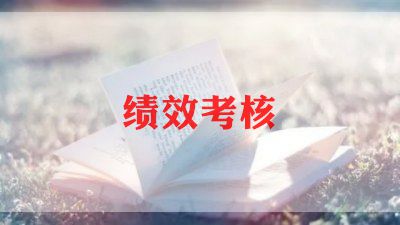 事业编绩效工作总结6篇