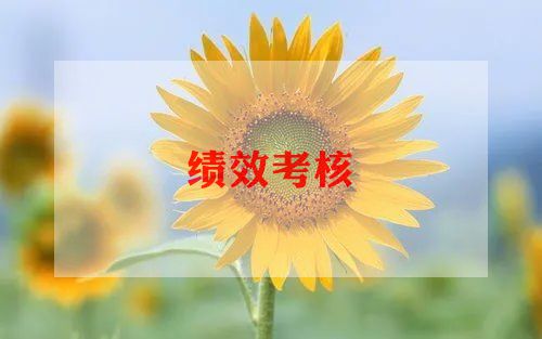 18教师考核工作总结优质8篇