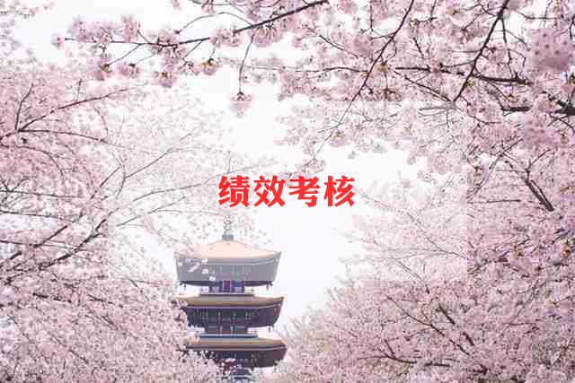 教师的考核工作总结范文优秀5篇