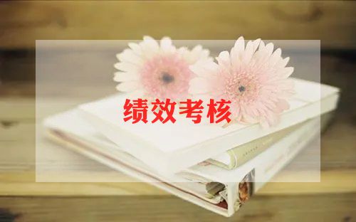 律师执业年度考核个人总结7篇