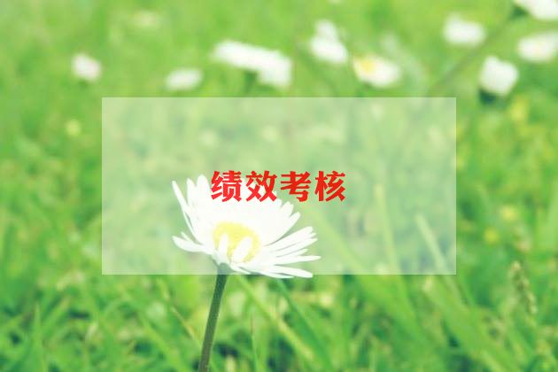 考核工作总结报告8篇