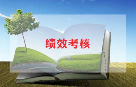 局绩效考核述职报告6篇