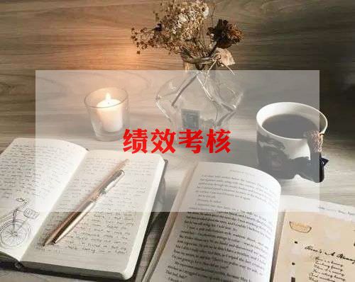 关于考核的工作总结6篇