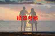 律师个人年度考核总结7篇
