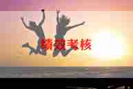 绩效考核的工作总结精选8篇
