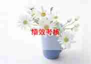 小学语文个人年度考核总结6篇