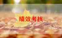 考核表年度个人总结通用6篇