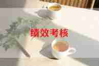 考核的工作总结优质6篇