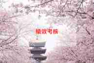 年度考核小学教师述职报告优秀5篇