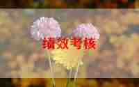 医护年度考核总结6篇