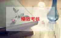 个人绩效考核工作总结5篇