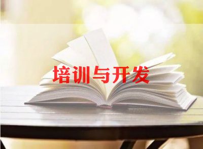 书法教师培训工作总结8篇