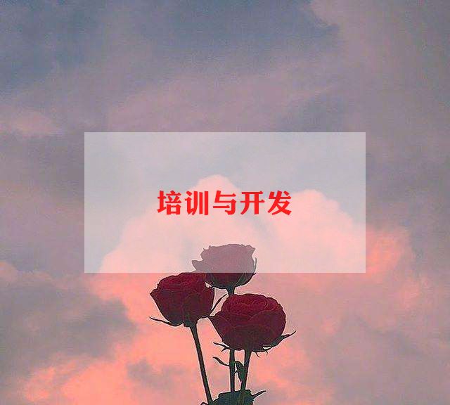 青协干事培训总结5篇