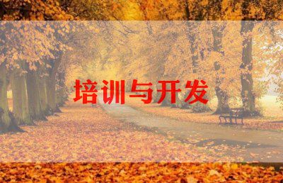 培训团队协作心得体会5篇